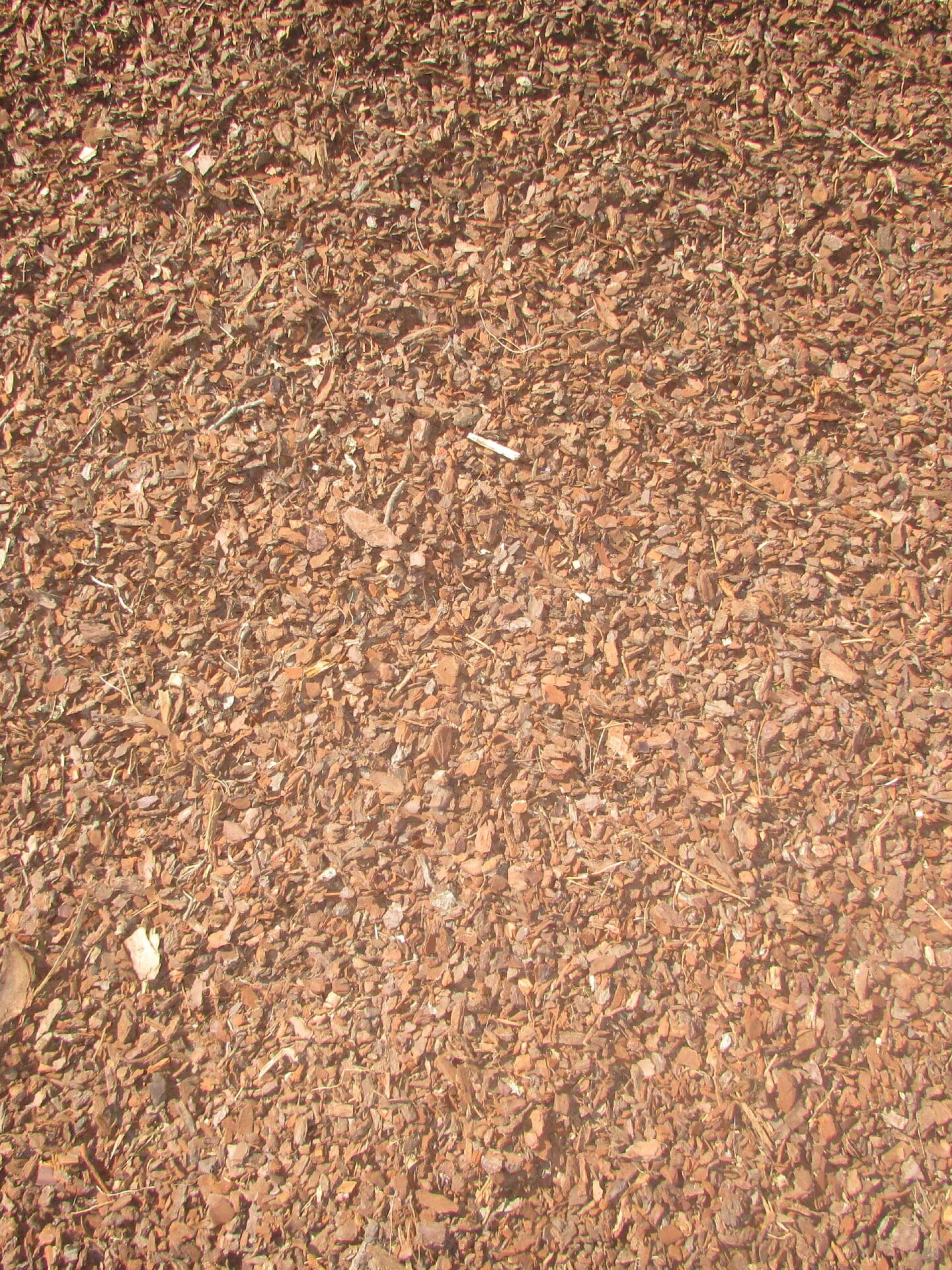 Ecorce de pin