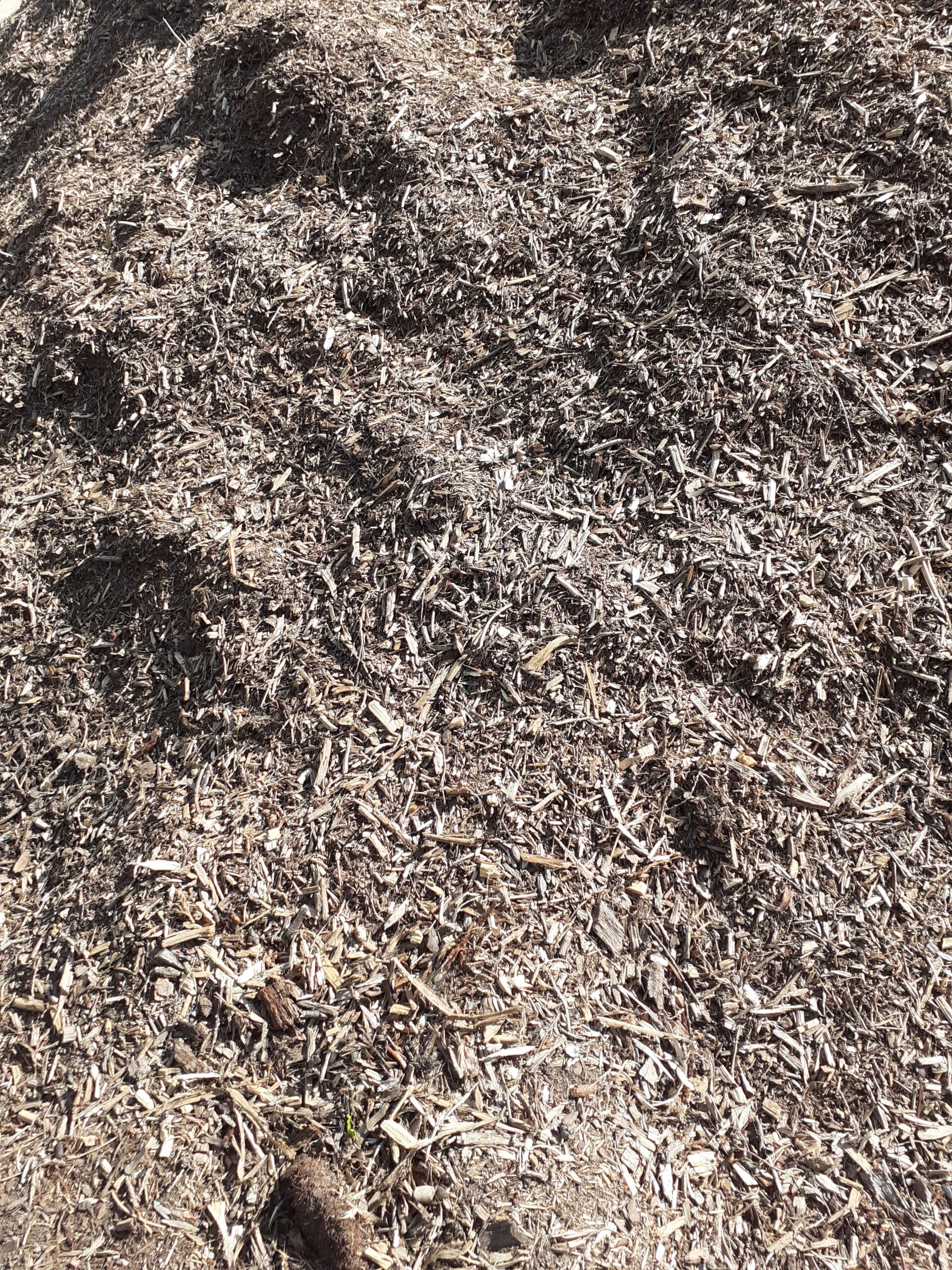 Issu de criblage de compost (1)
