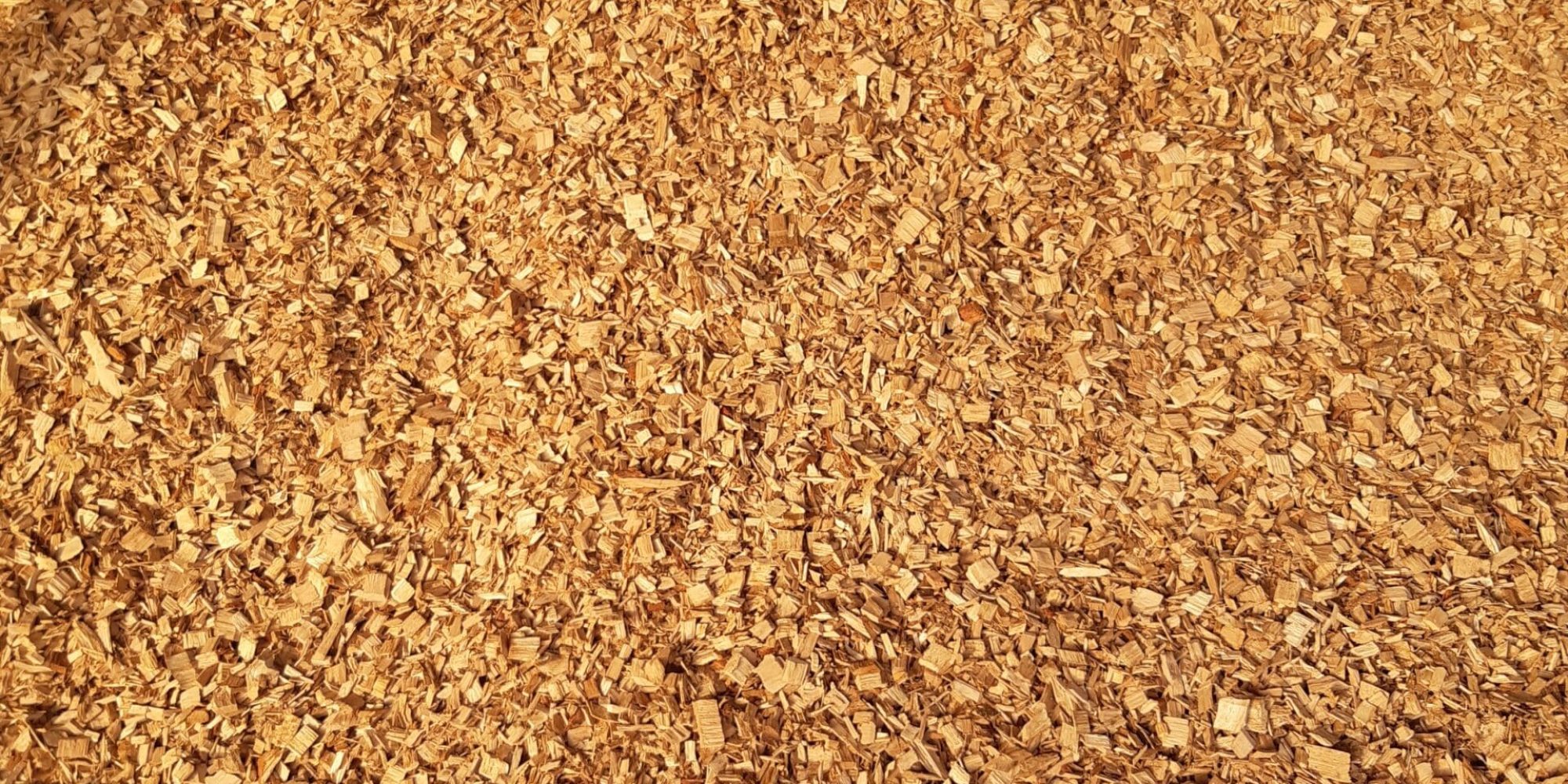 Paillis de copeaux de chêne