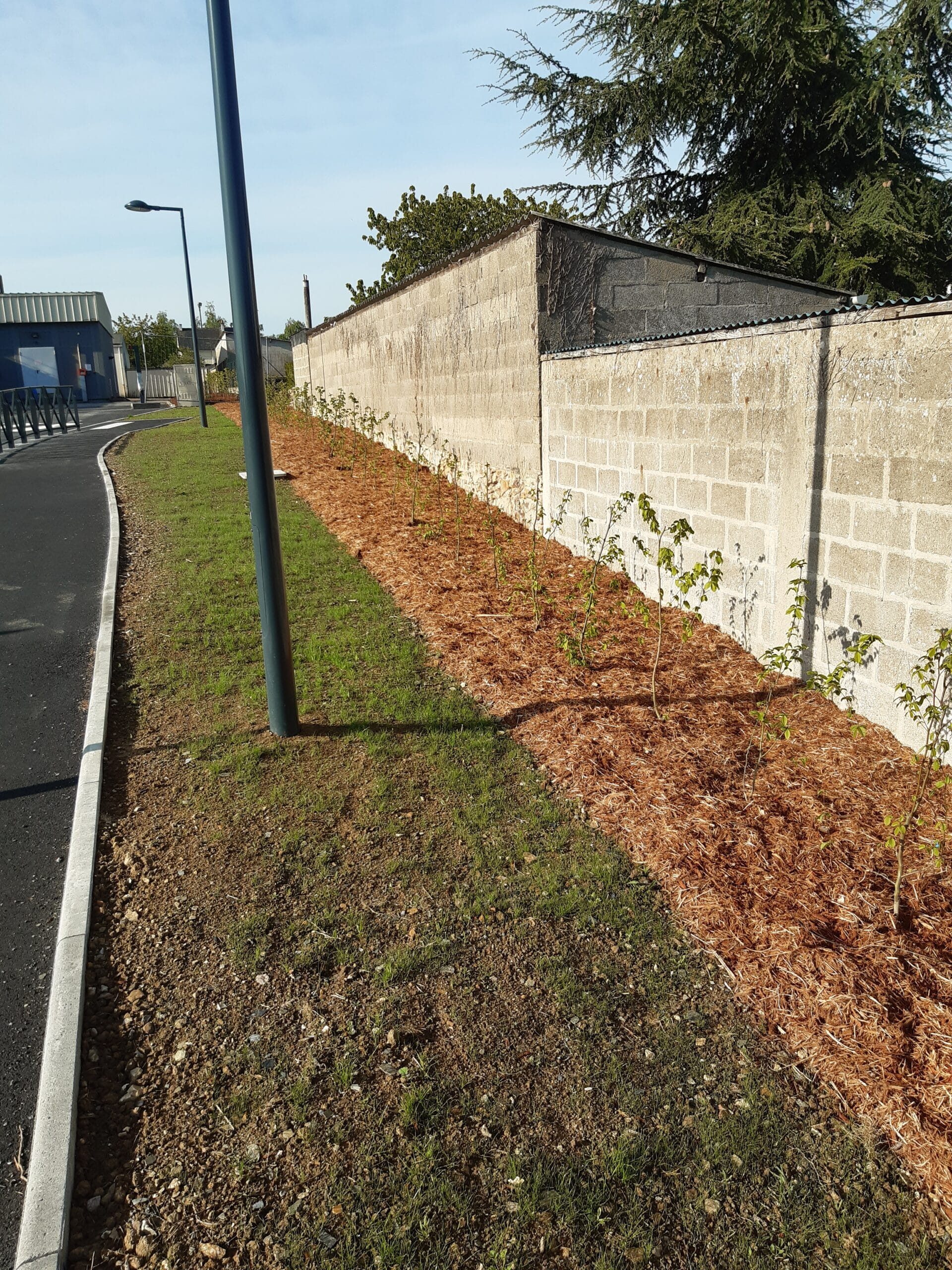 Réalisation paillage écorce de chêne 2