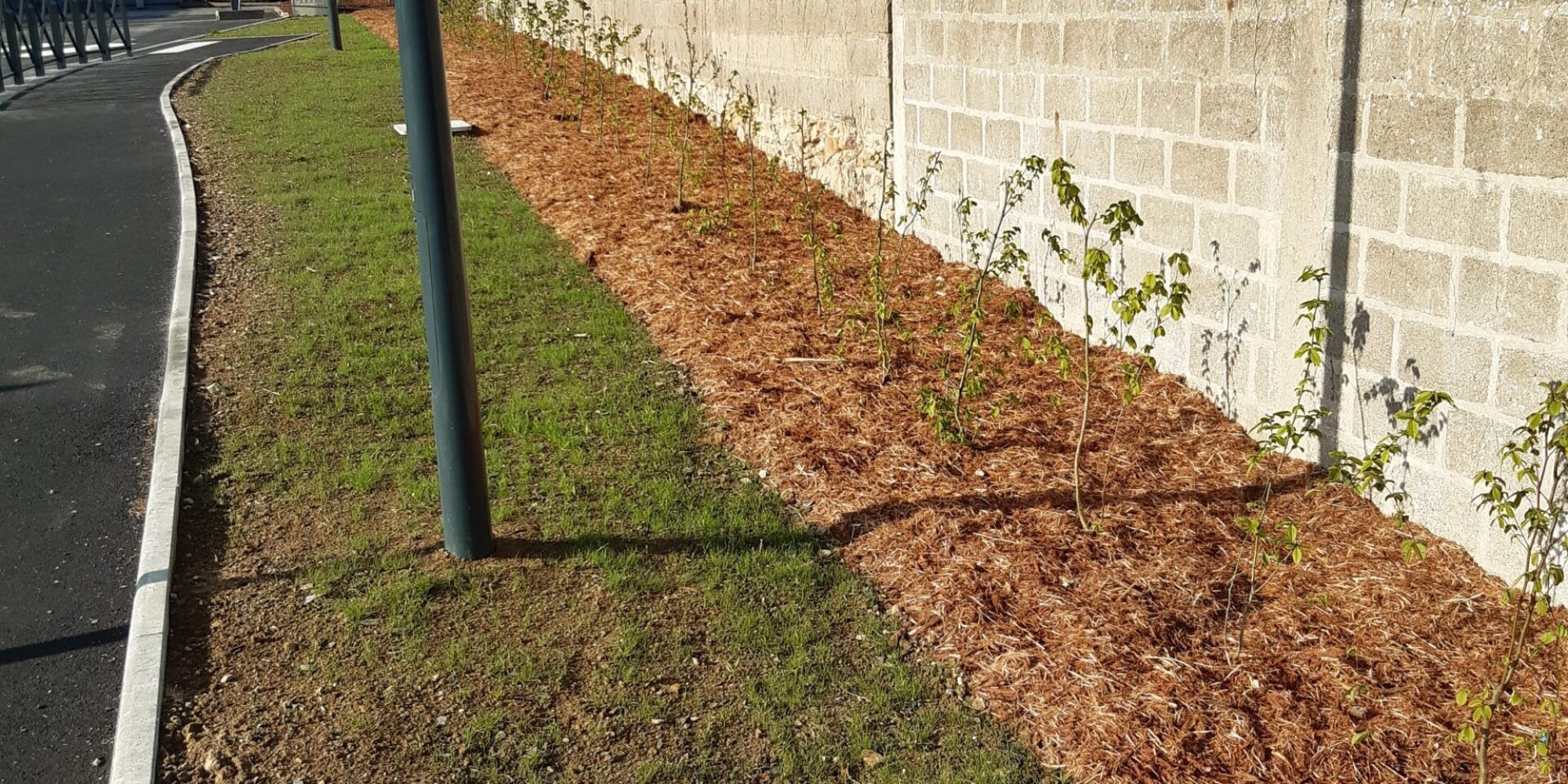 Réalisation paillage écorce de chêne 2