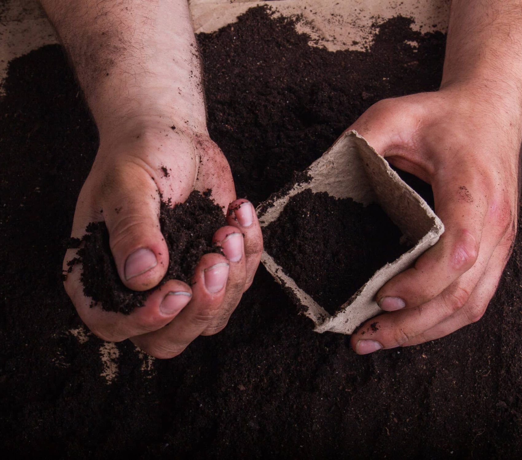 Filling Plant Or Flower Pot With Compost. Close-up, top view.